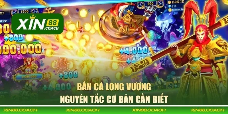 Nguyên tắc cơ bản cần biết