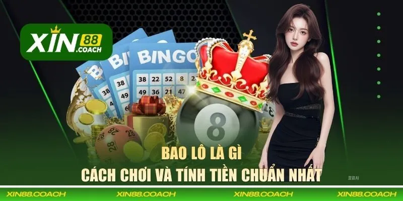 bao lô là gì