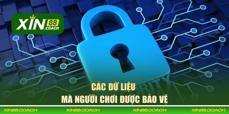Các dữ liệu mà người chơi được bảo vệ