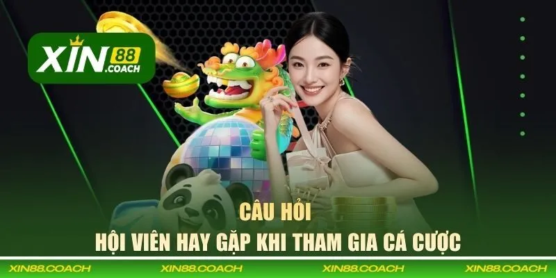 Câu hỏi hội viên hay gặp khi tham gia cá cược