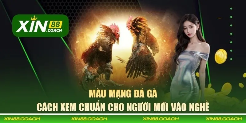 Màu mạng đá gà
