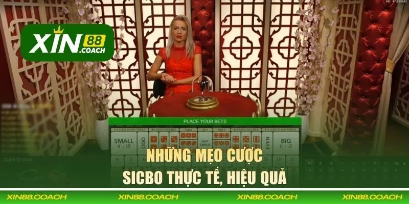 Bỏ túi những bí kíp dự đoán trò chơi nâng cao từ chuyên gia