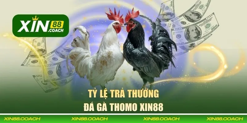 Phân tích tỷ lệ trả thưởng cá cược đá gà XIN88