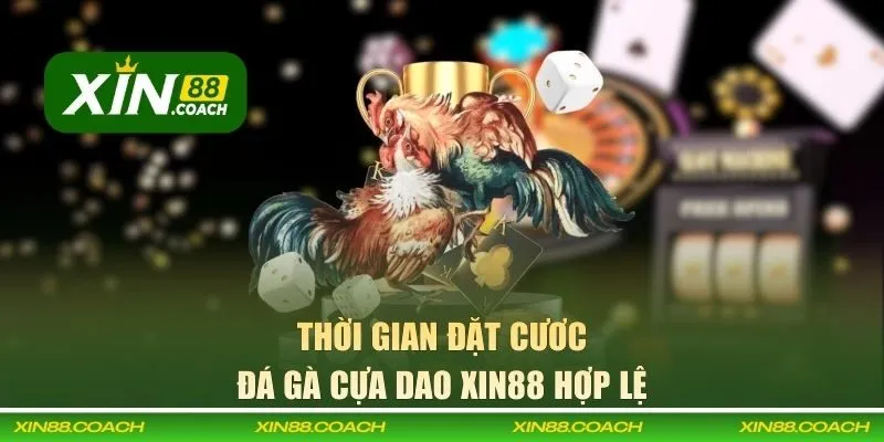 Thời gian đặt cược vào trận đá gà cựa dao XIN88